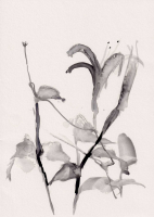 http://www.soerenhiob.com/files/gimgs/th-99_4  12.jpg